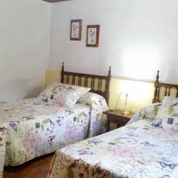 Casa Rural Barangua En El Pirineo Aragones Санта-Крус-де-ла-Серос Екстер'єр фото