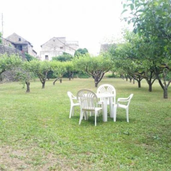 Casa Rural Barangua En El Pirineo Aragones Санта-Крус-де-ла-Серос Екстер'єр фото